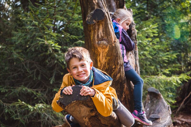 Naturerlebnispfad in Hinterzarten