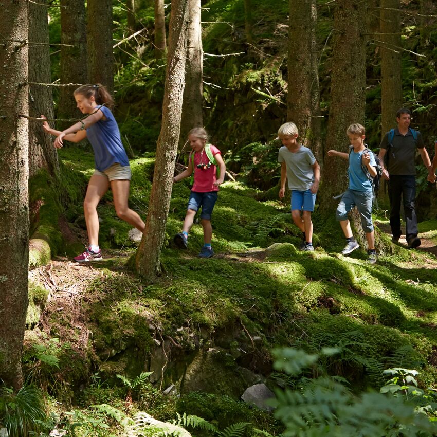 Geocaching im Hochschwarzwald