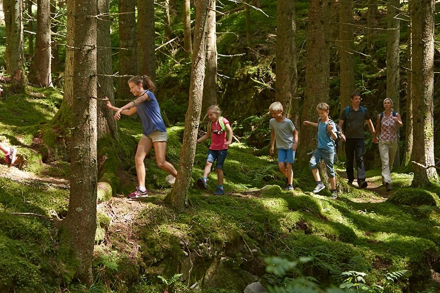 Geocaching im Hochschwarzwald