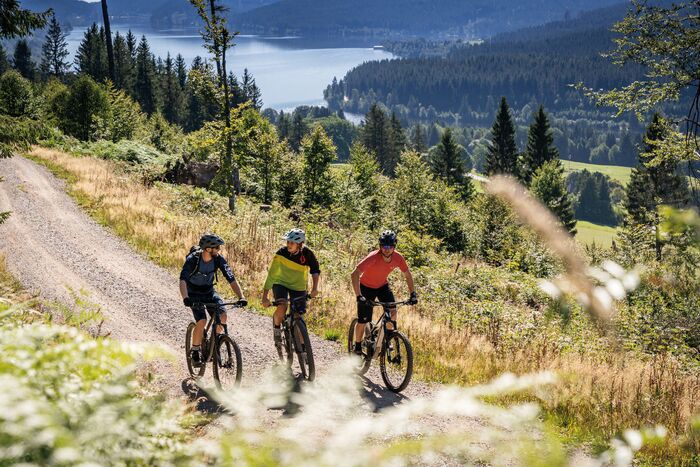 Biken im Schwarzwald