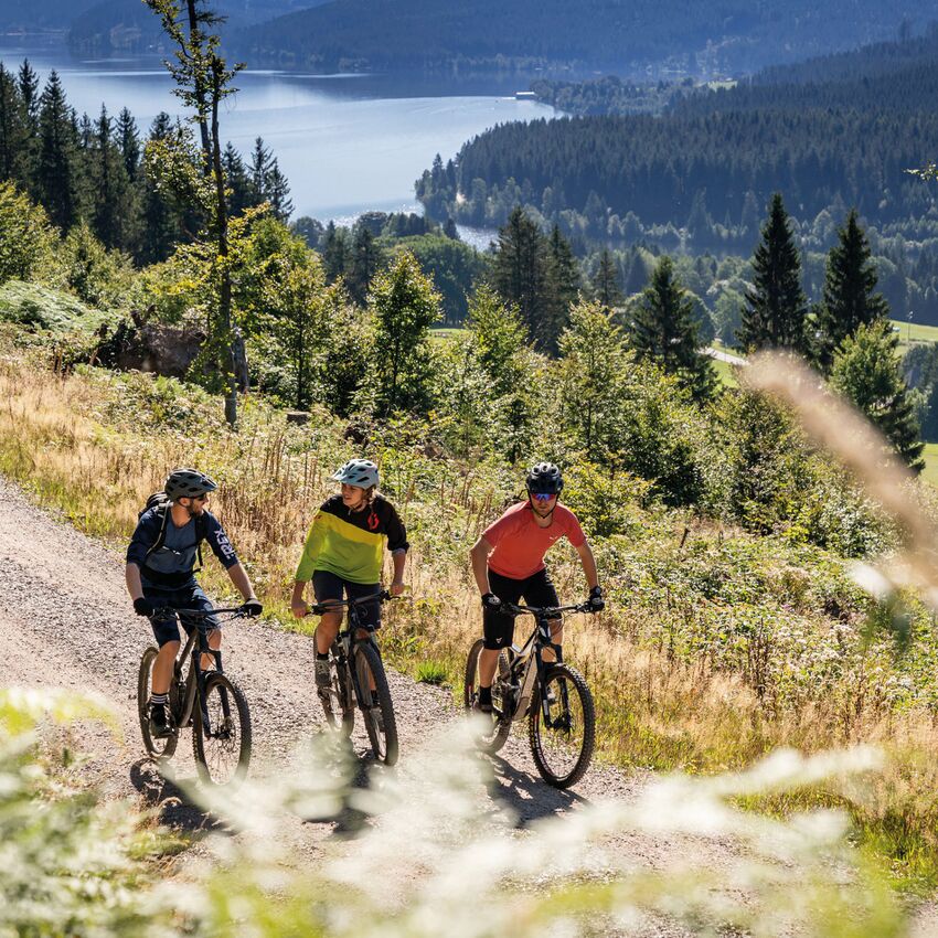 Biken im Schwarzwald