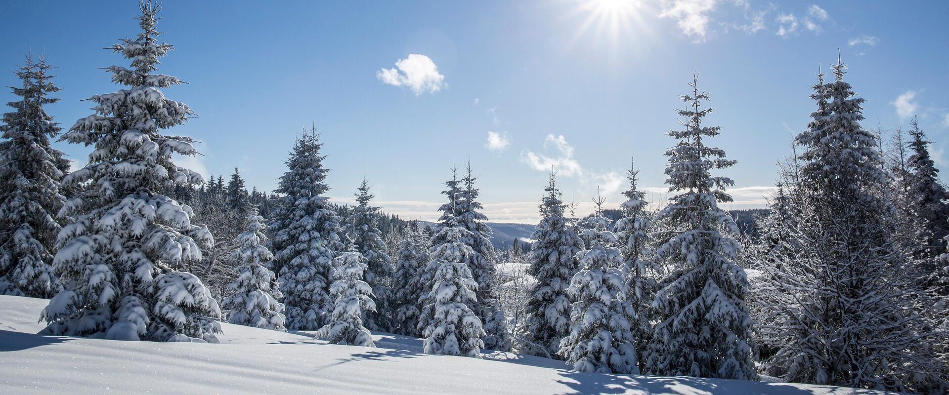 Wintertipps im Schwarzwald